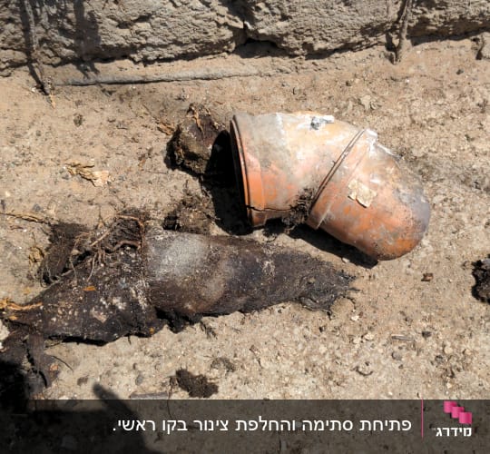 צינור שבור עם שורשים על הקרקע